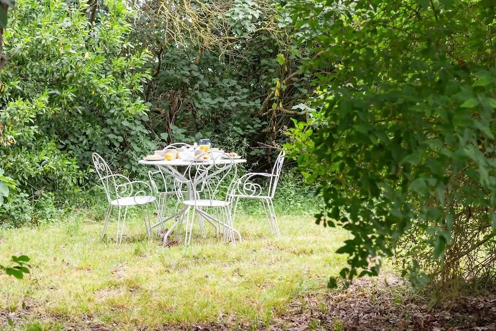 Holiday home Demeure Bajou - Piscine Privee - Parc Arbore Auterive  France